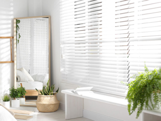 venetian blinds